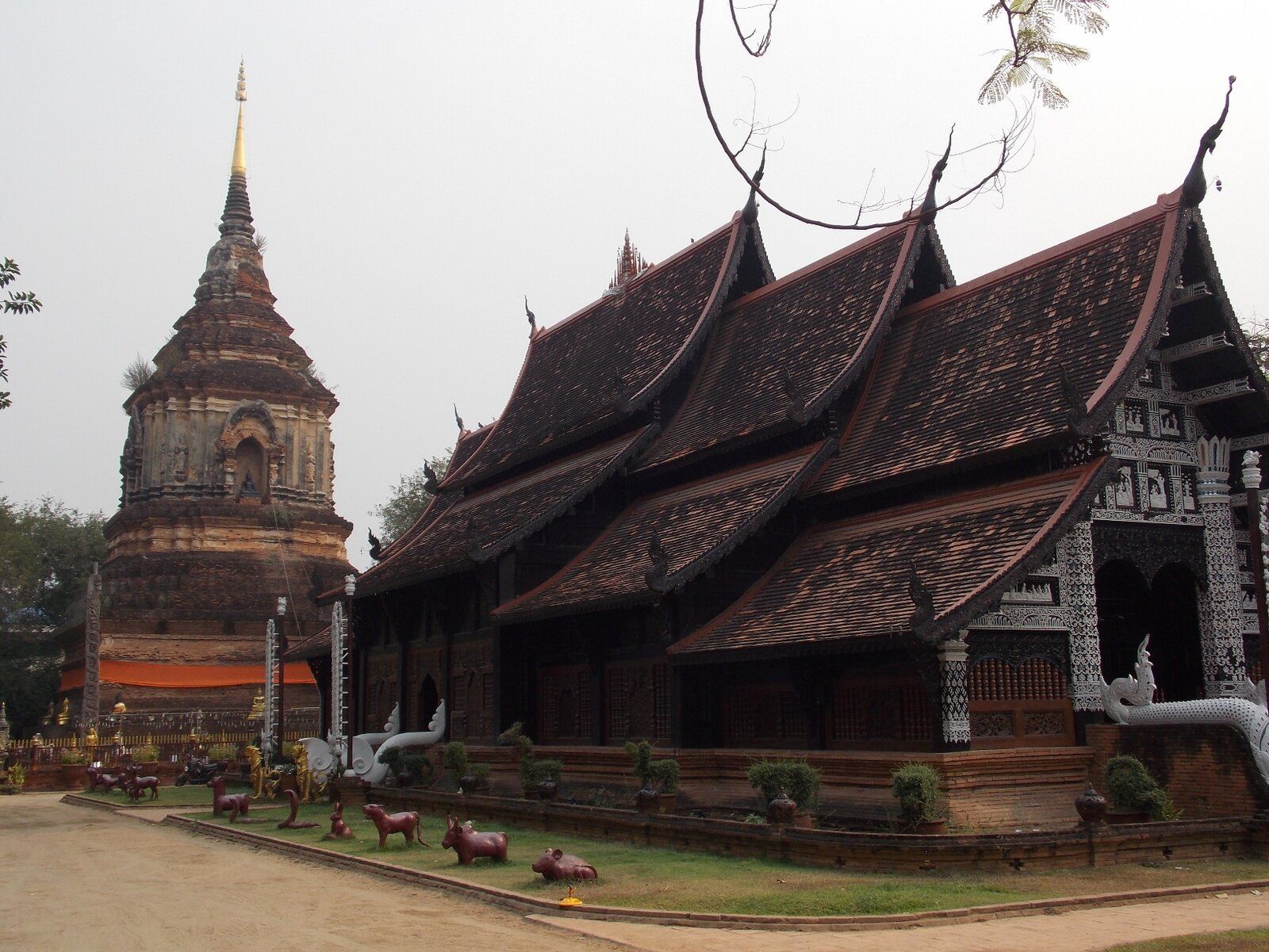 DSCN1297.JPG