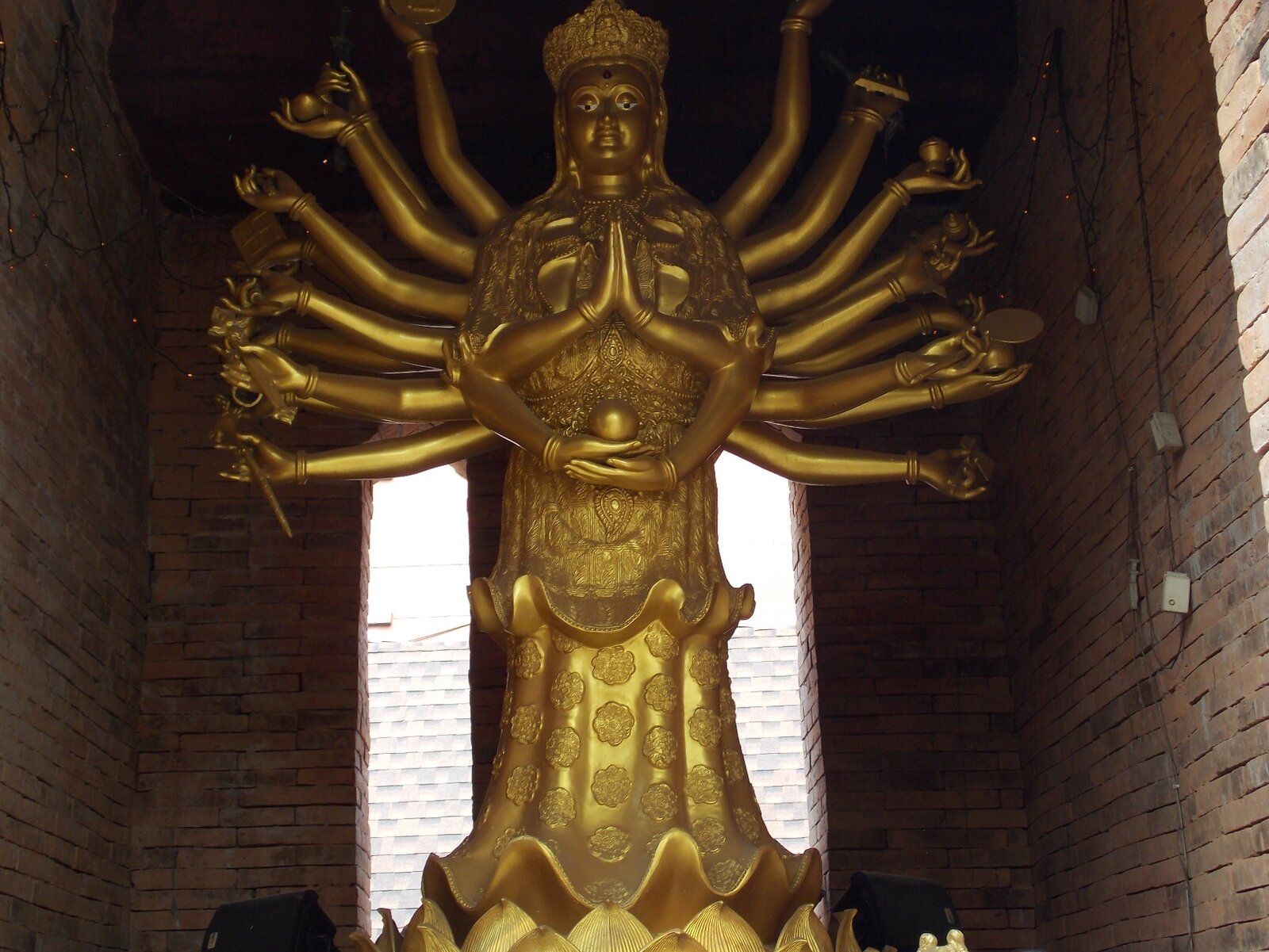 DSCN1300.JPG