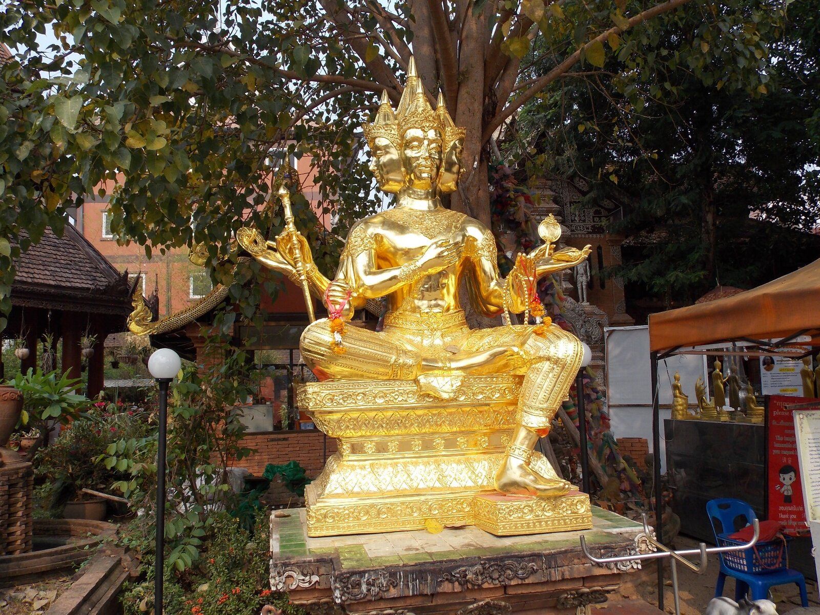 DSCN1302.JPG
