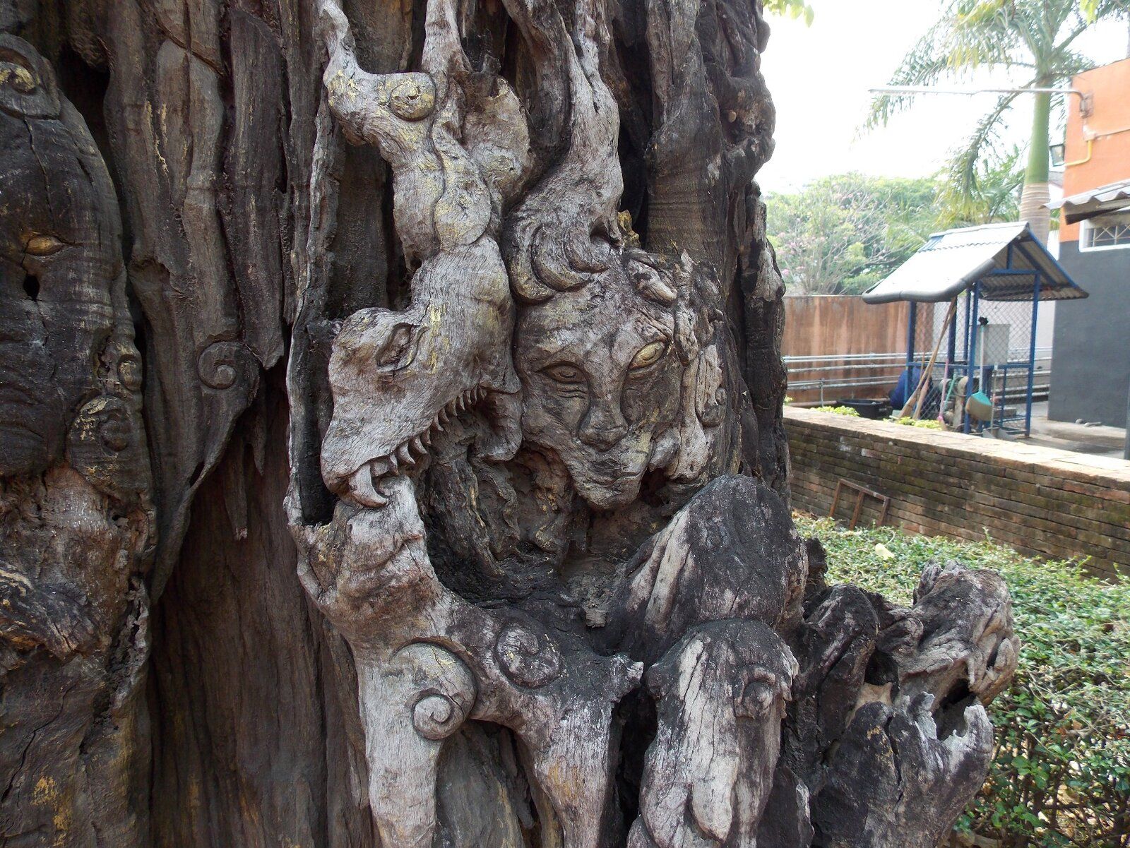 DSCN1318.JPG