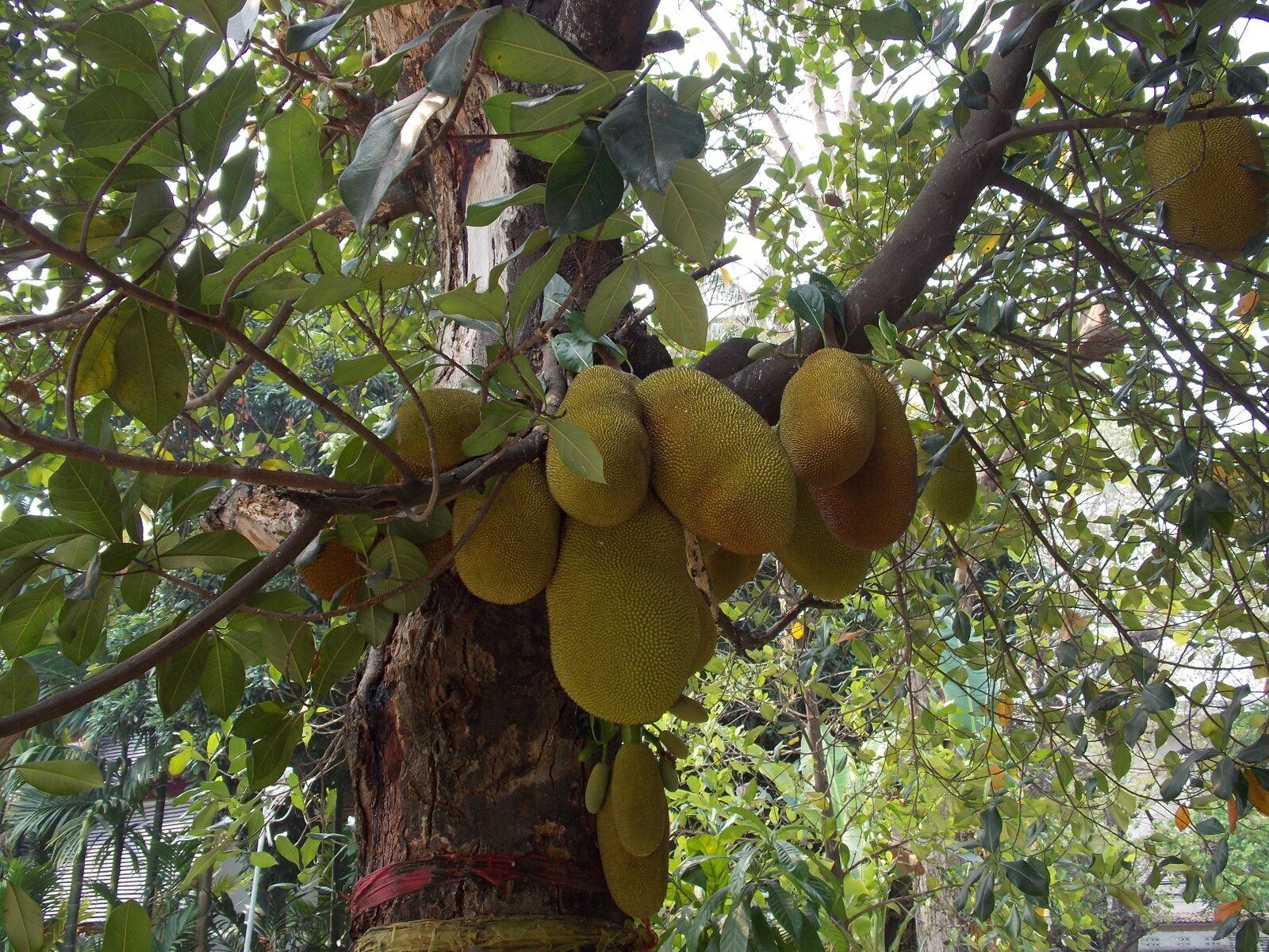 DSCN1353.JPG