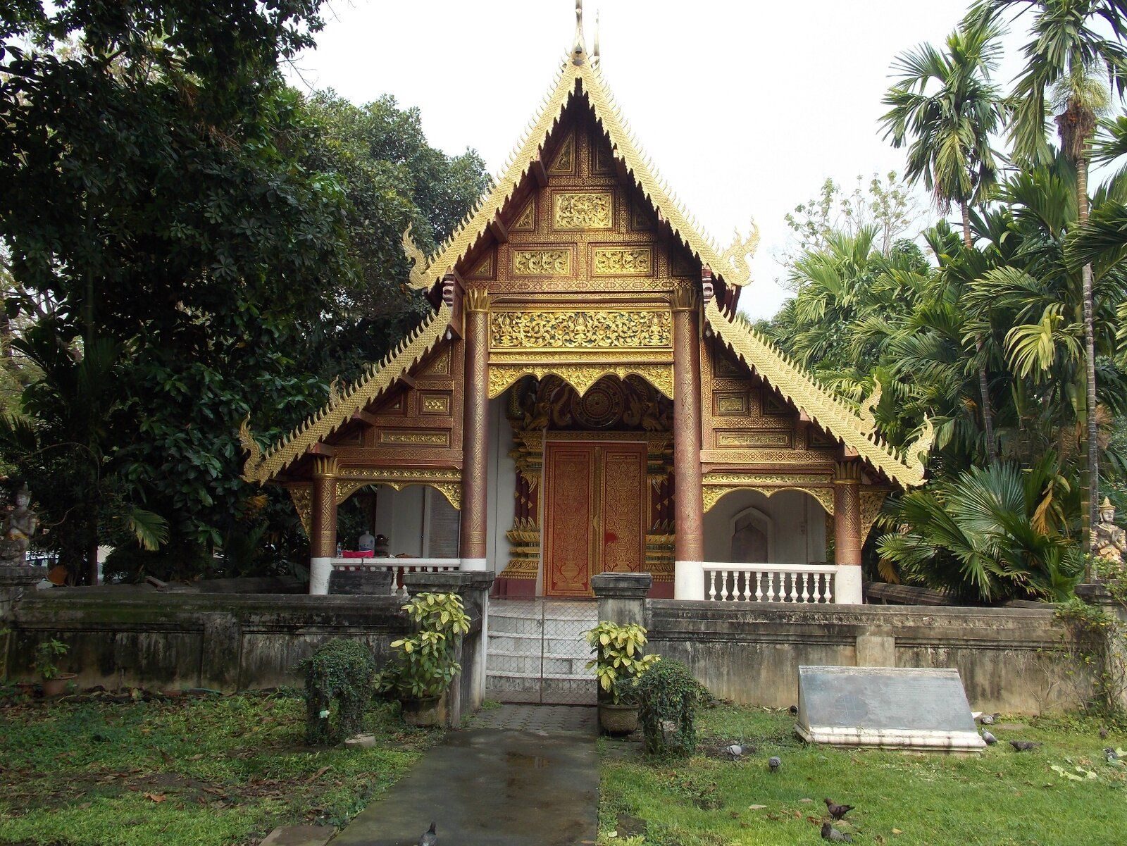 DSCN1356.JPG