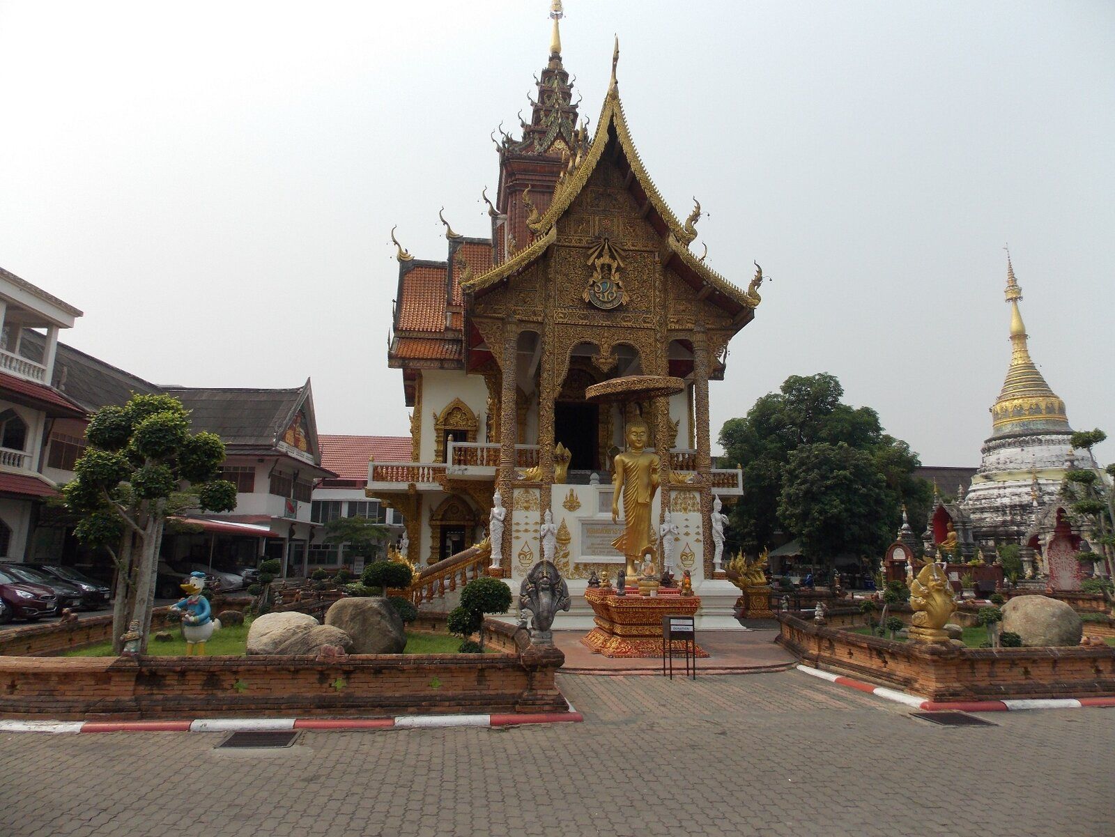 DSCN1367.JPG