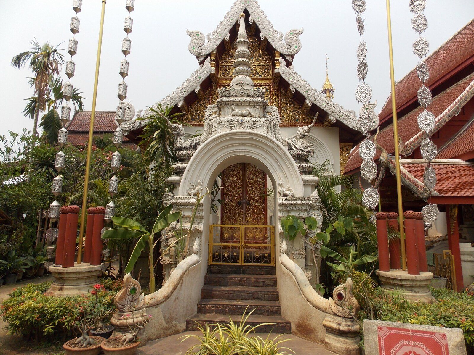 DSCN1397.JPG