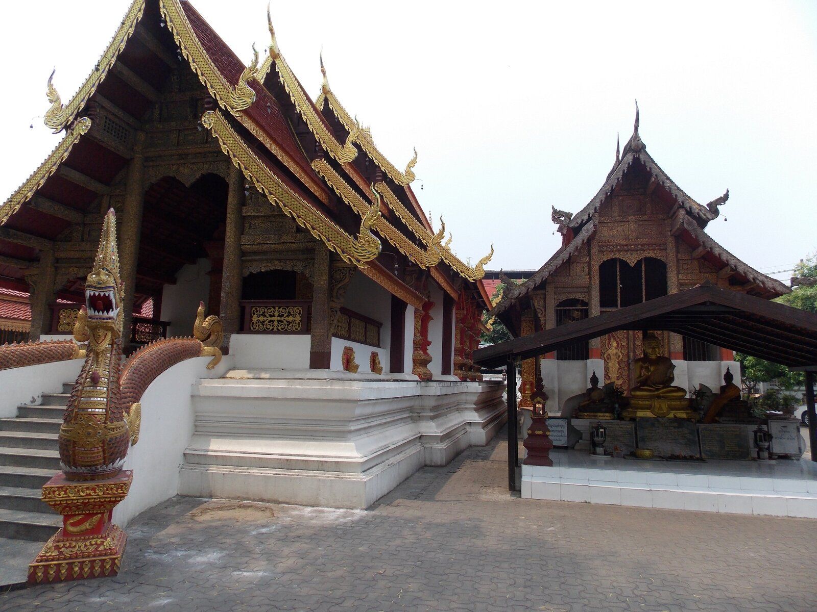 DSCN1421.JPG
