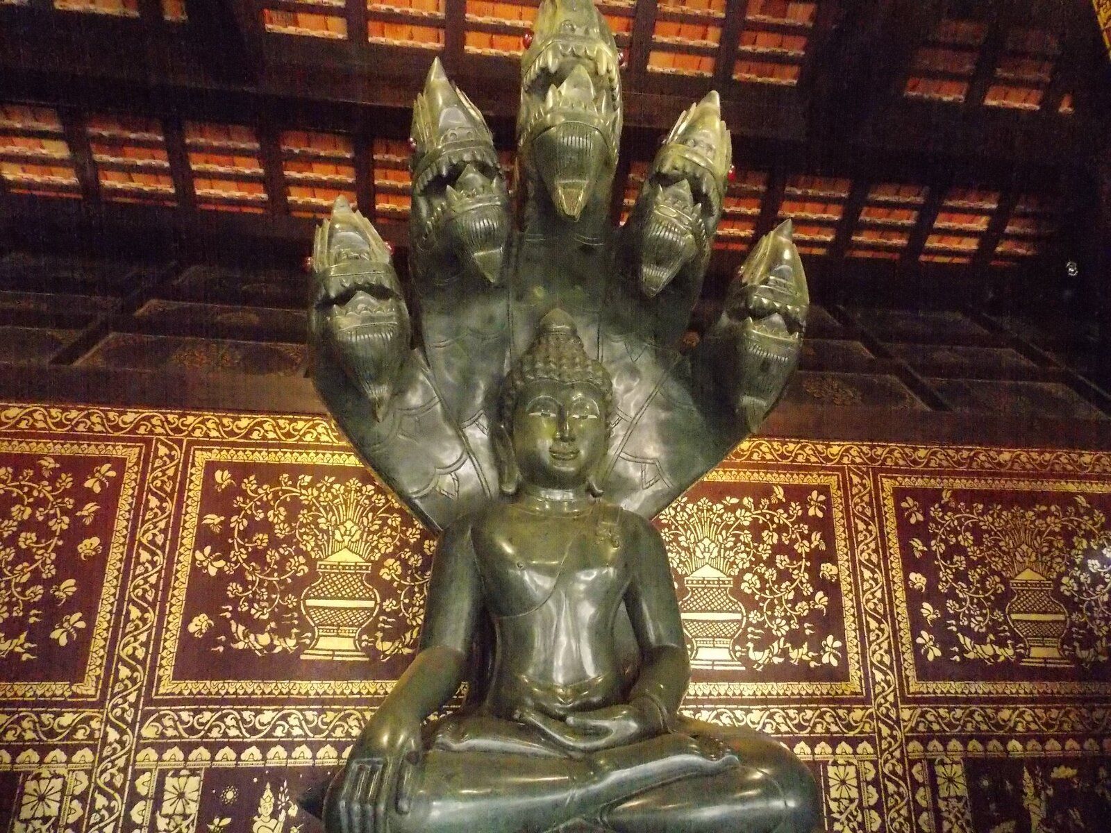 DSCN1480.JPG