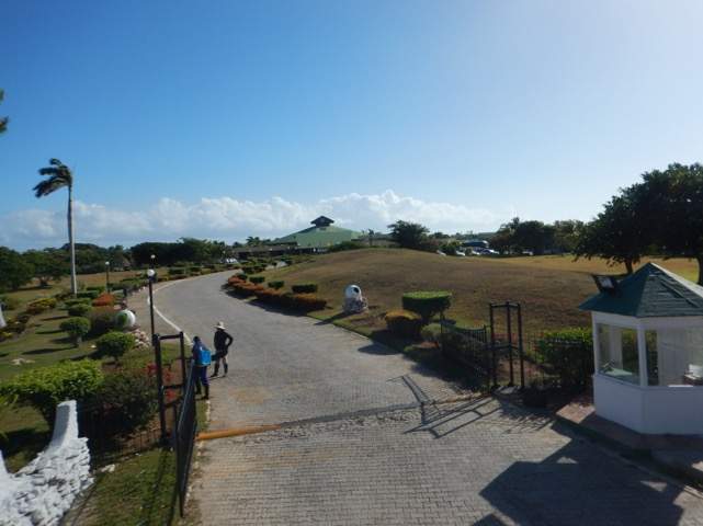 DSCN1765