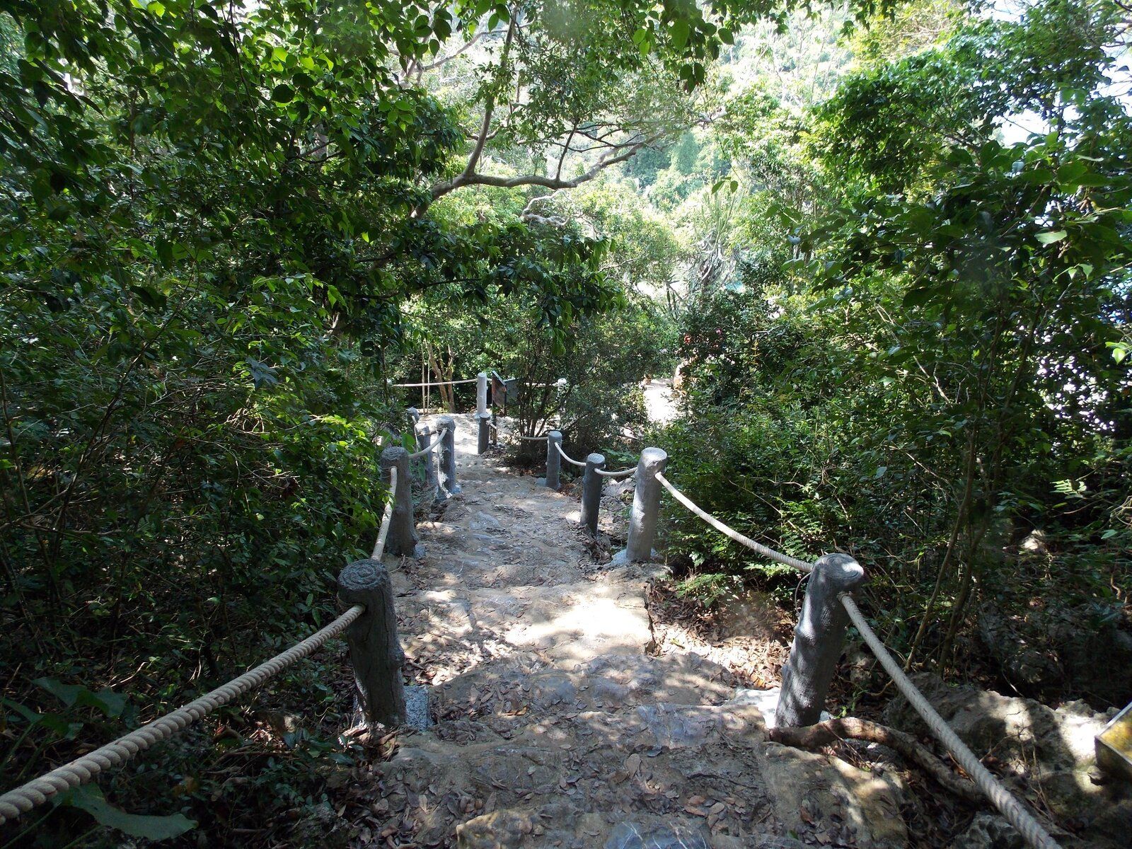 DSCN1768.JPG