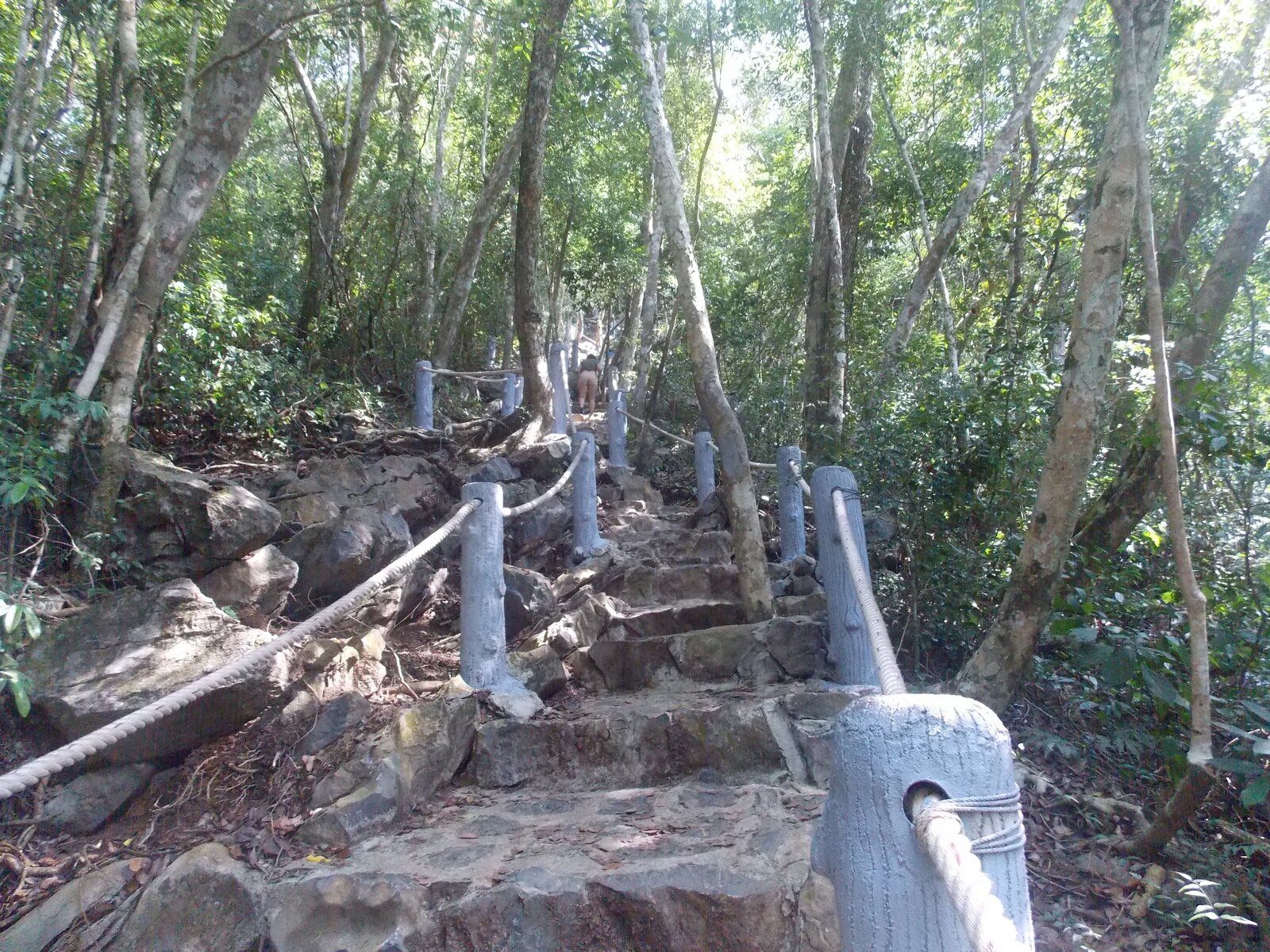 DSCN1796.JPG