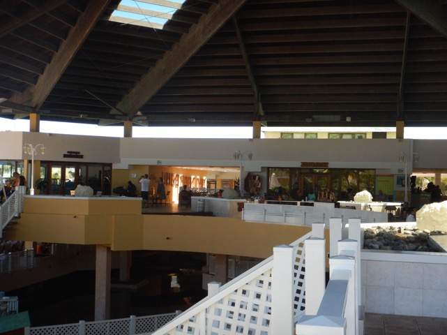 DSCN1973
