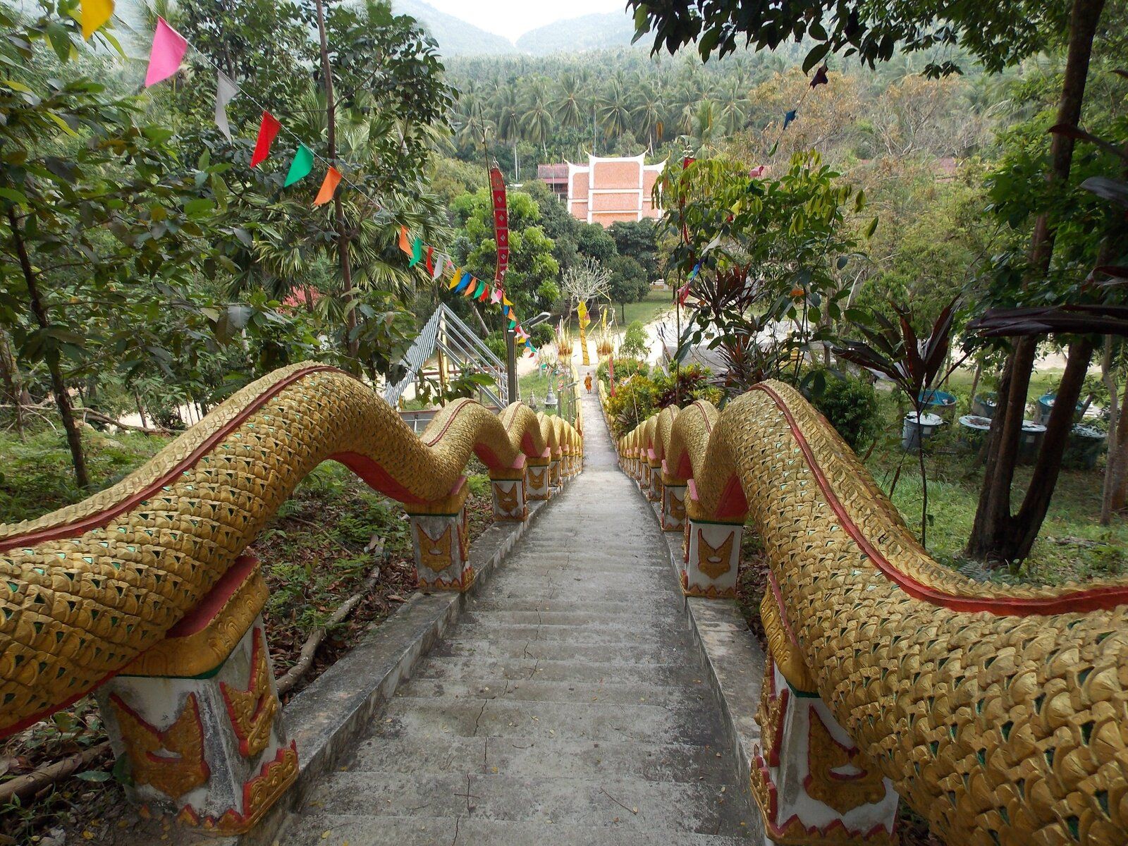DSCN1997.JPG
