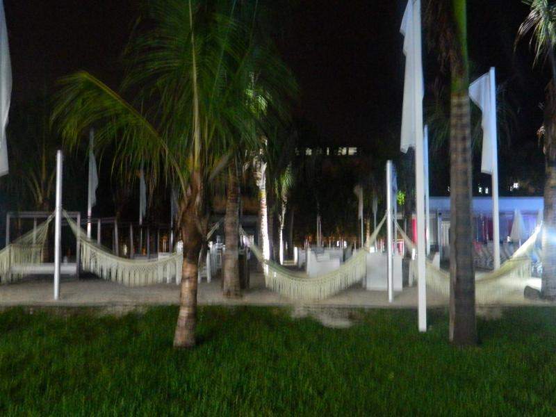 DSCN4190 (800x600)