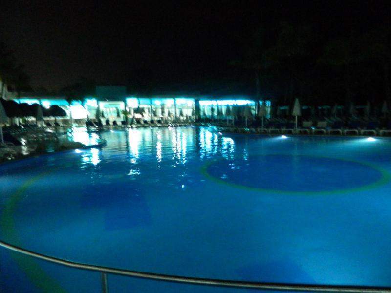 DSCN4205 (800x600).jpg