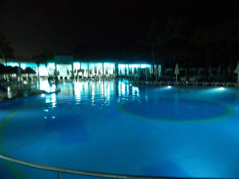 DSCN4206 (800x600).jpg
