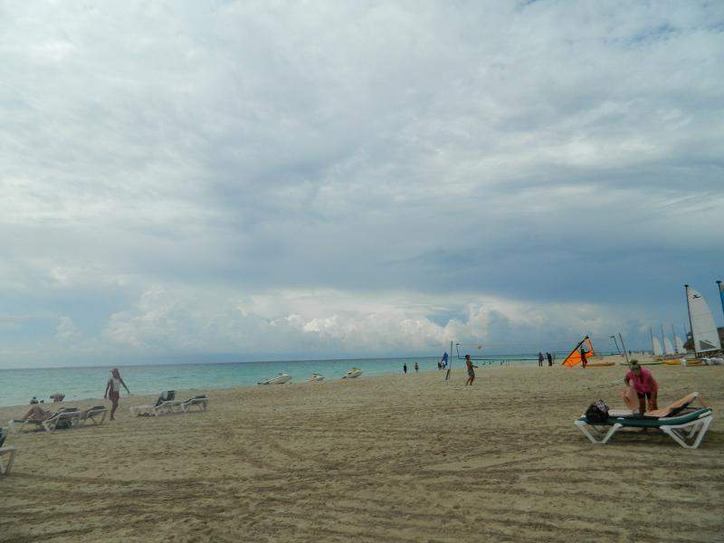 DSCN4231 (800x600).jpg