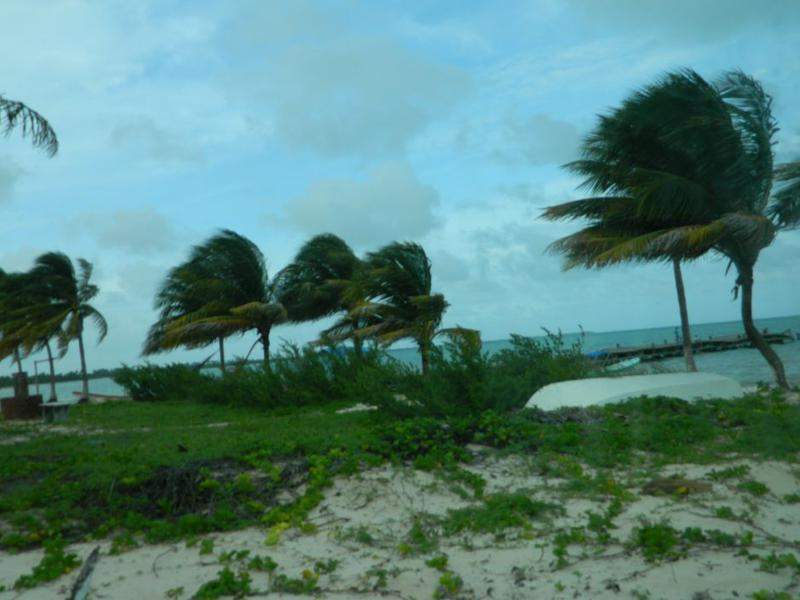 DSCN4948