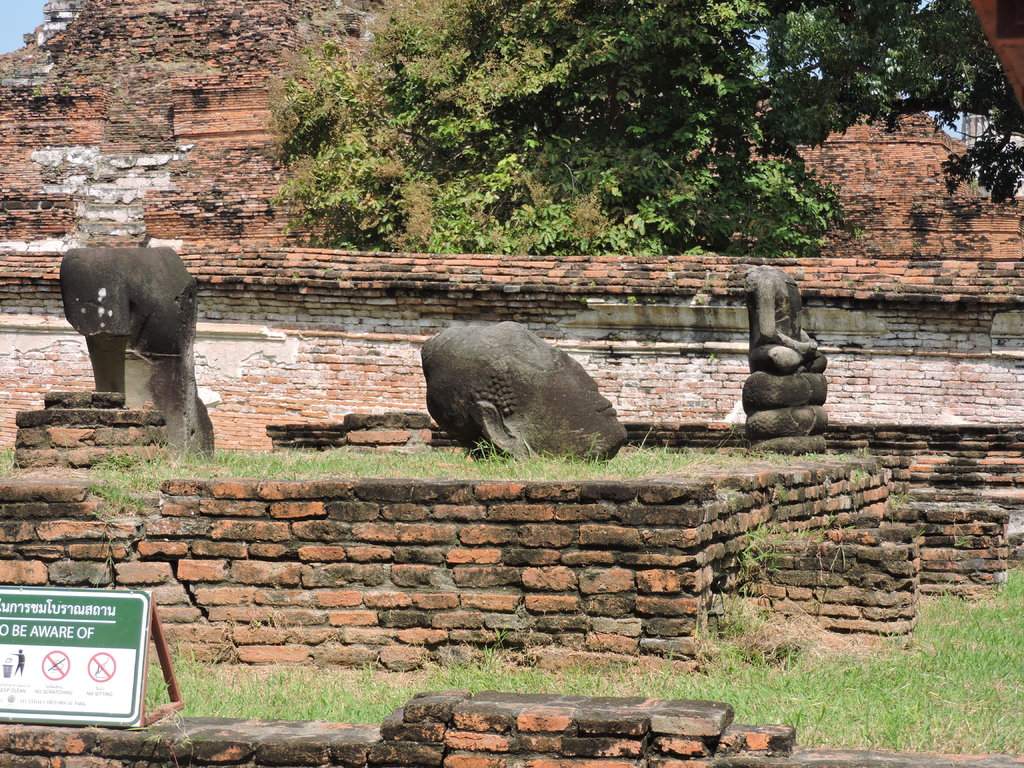 DSCN6956