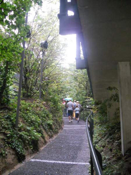 DSCN7500