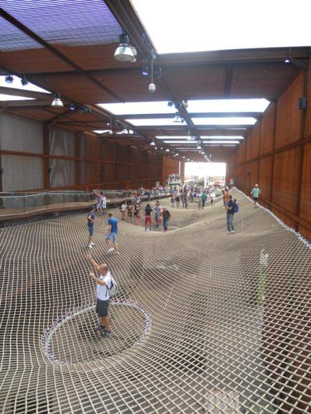 DSCN8023