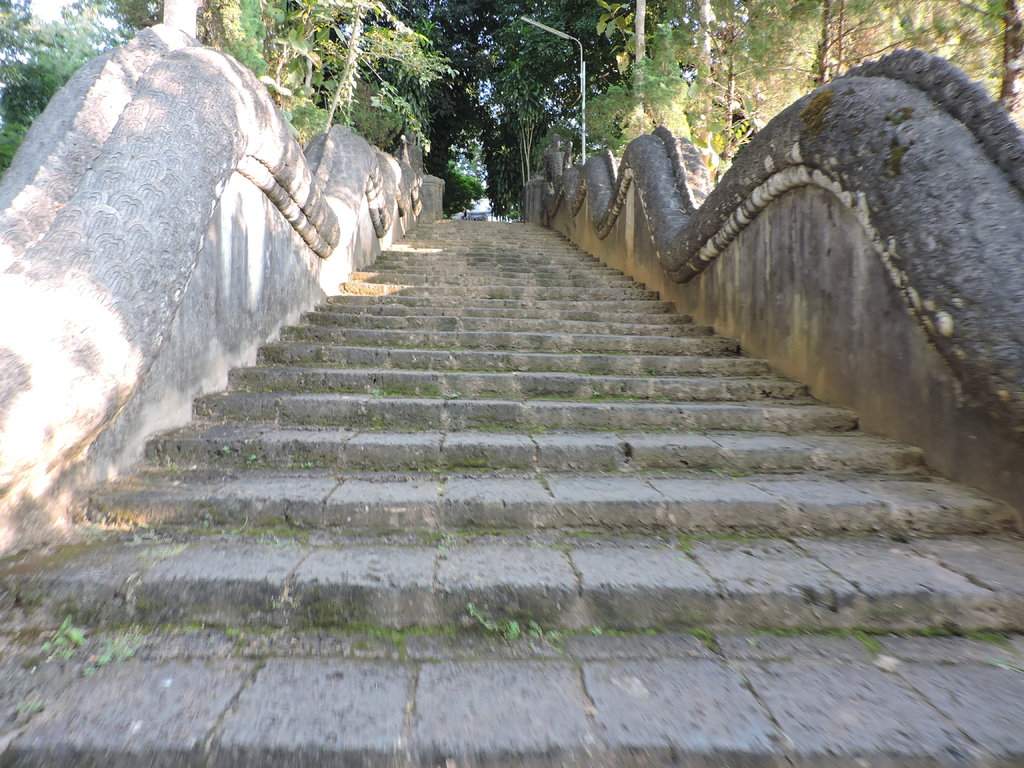 DSCN8291