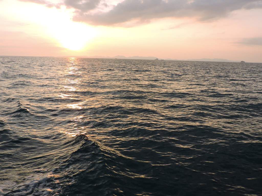 DSCN8508