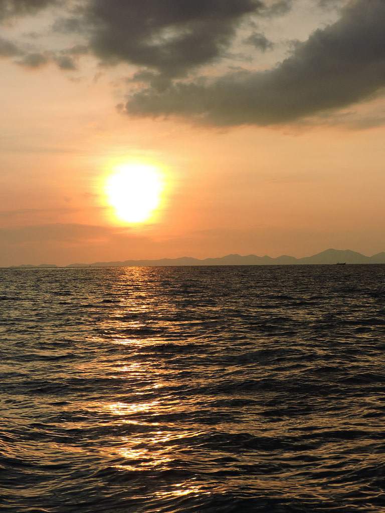DSCN8510