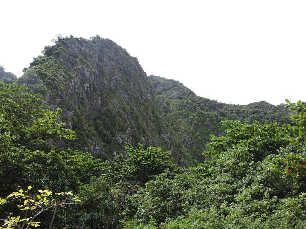 DSCN8711