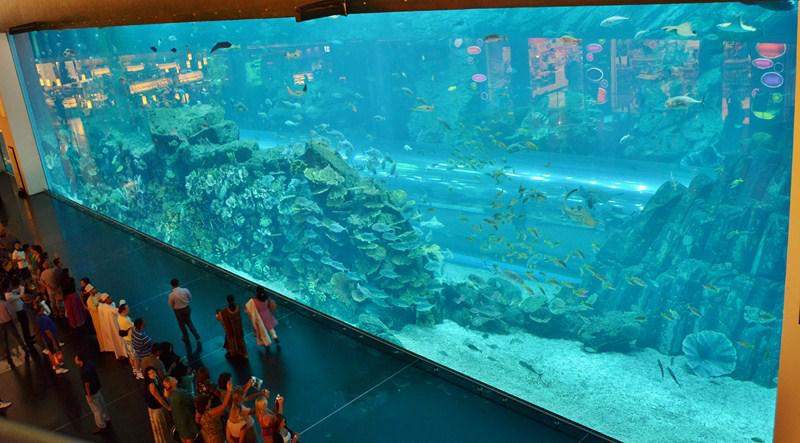 Dubai Mall Aquarium