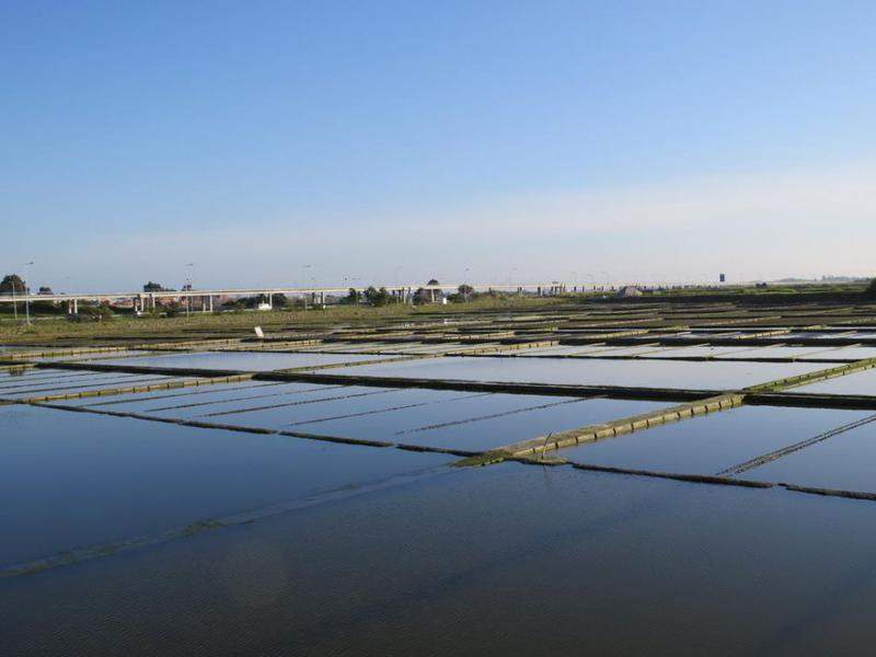 Eco-museu Marinha da Troncalhada