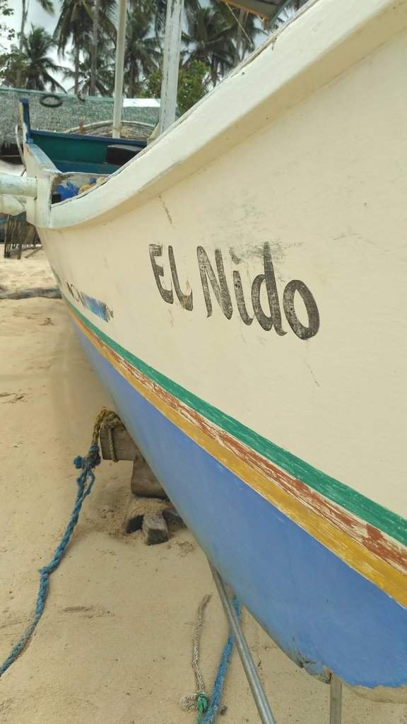 Elnido0