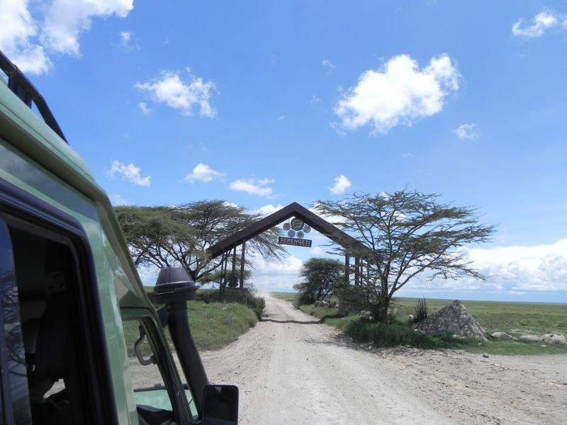 Entrada Serengeti