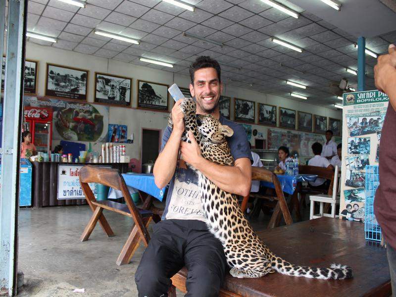Eu a interagir com um gatinho