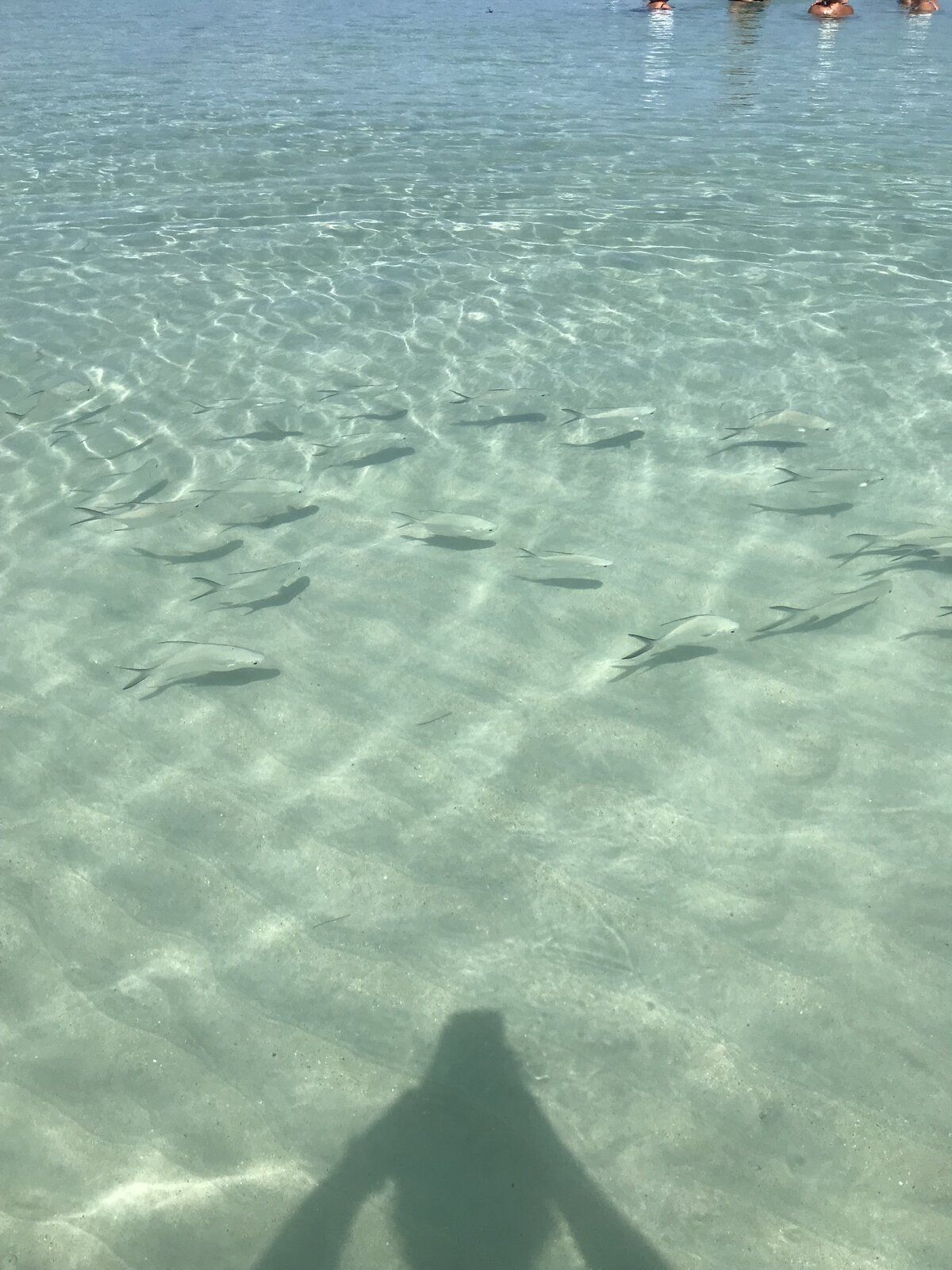 F0669E0E-16DD-4DF8-AB0C-AD79D92CC32B.jpeg