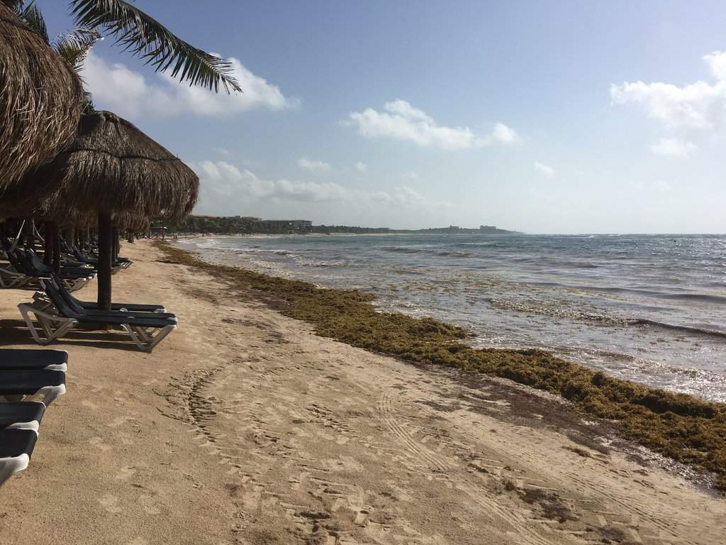 F68154F3-2F7B-473C-9BF3-257863E180B7