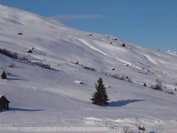 Fideris Heuberge