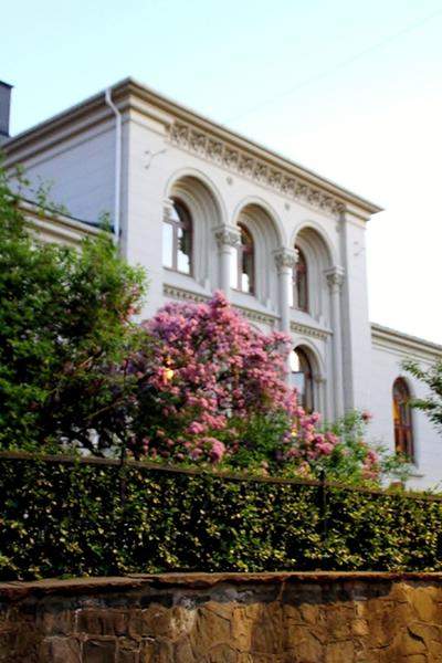 FIORDES 1 181