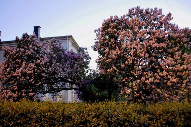 FIORDES 1 183
