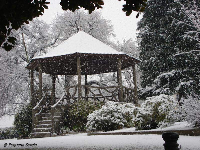 Flocos de Inverno