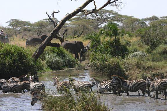 fotos da tanzania