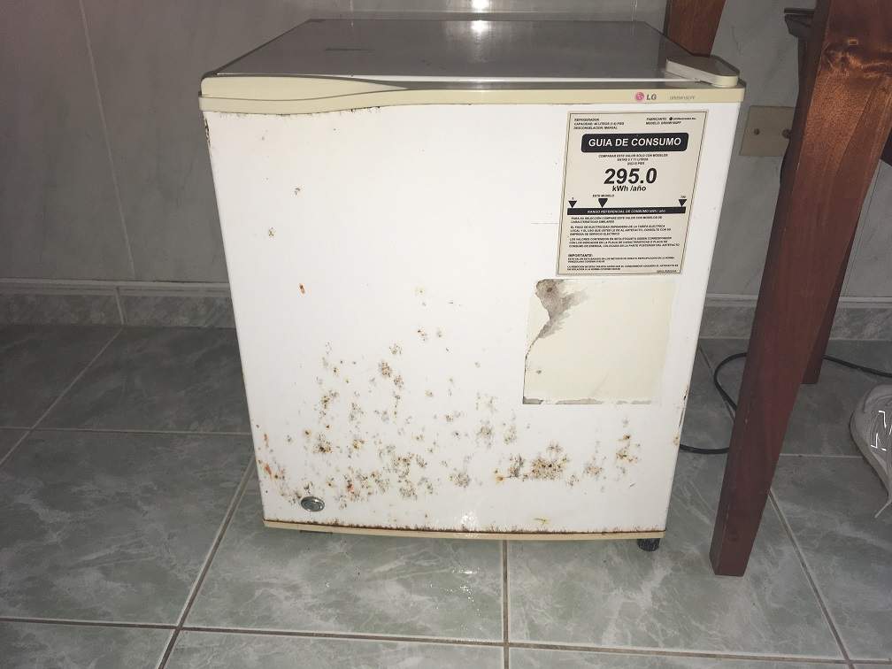 Frigo Imundo