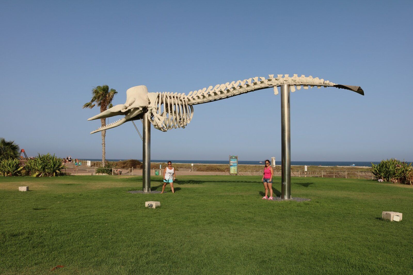 Fuerteventura 0279 (Cópia).JPG
