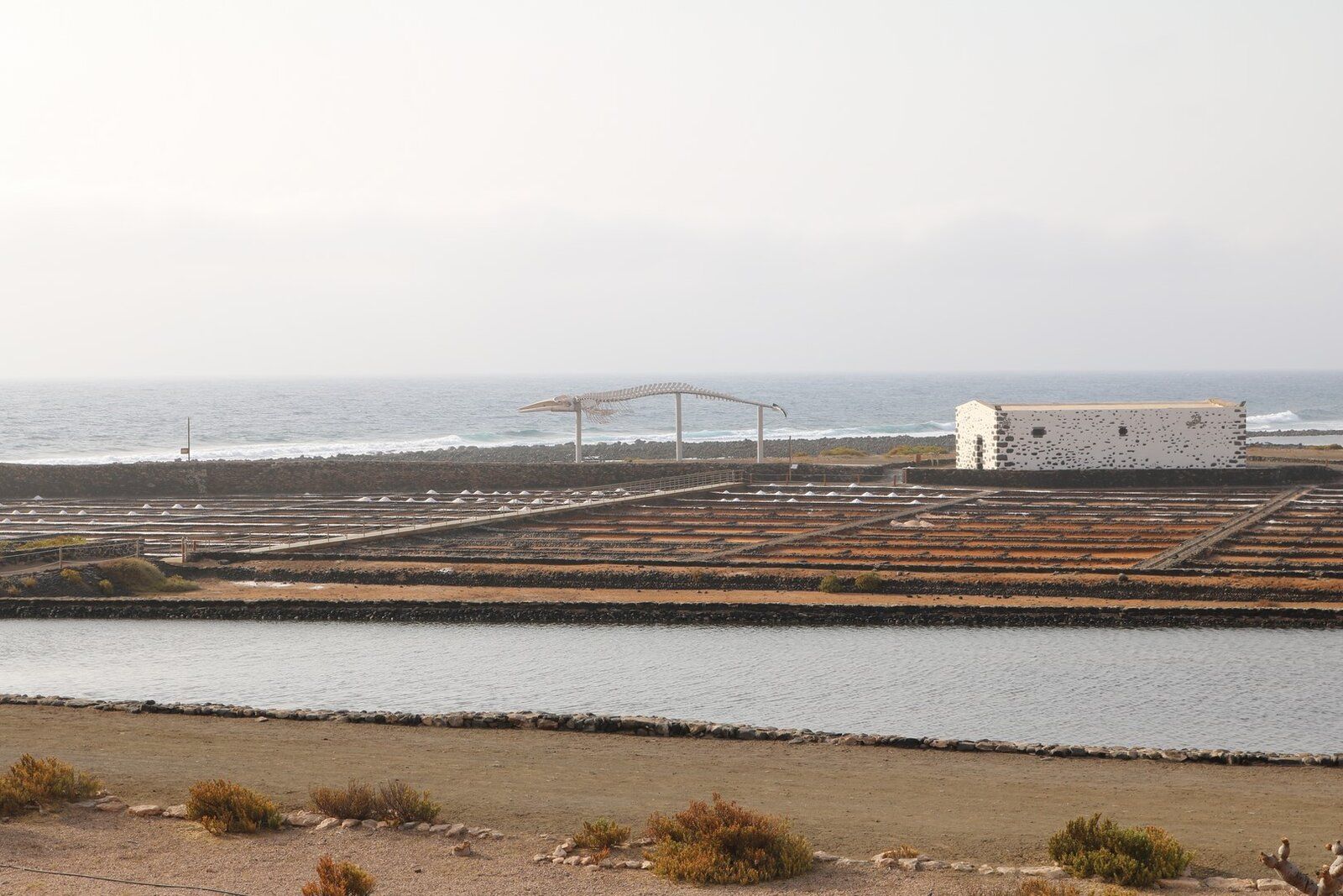 Fuerteventura 0327 (Cópia).JPG