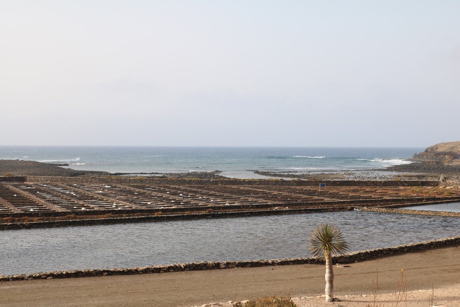 Fuerteventura 0333 (Cópia).JPG