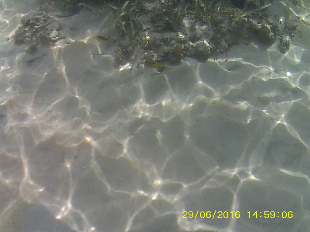 Fundo do mar