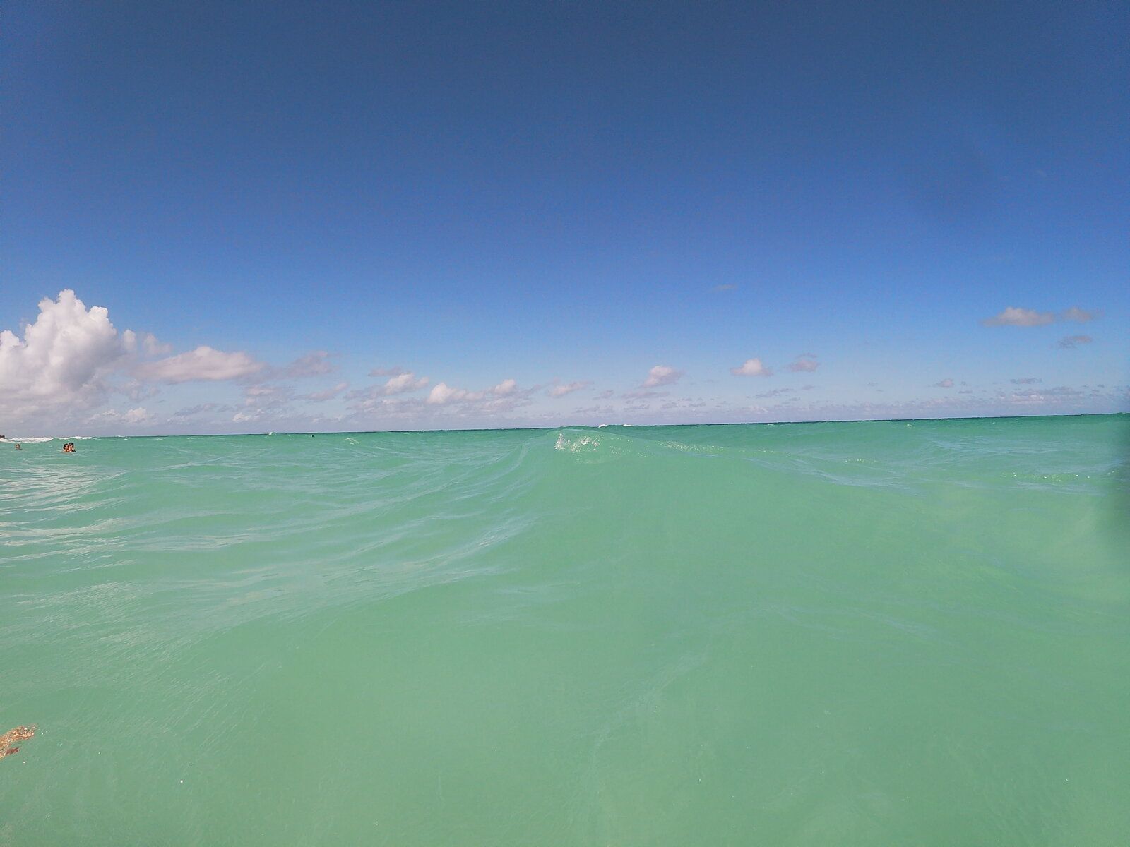 G0040160.JPG