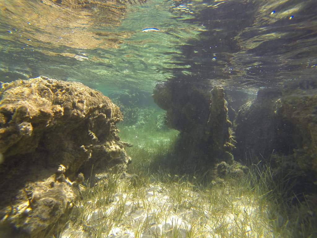 G0055597