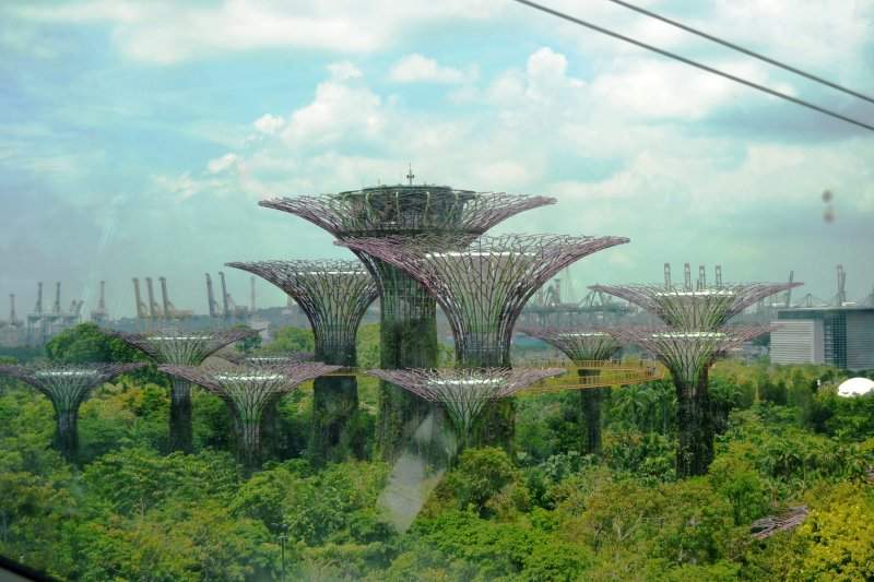 Gardens By The Bay