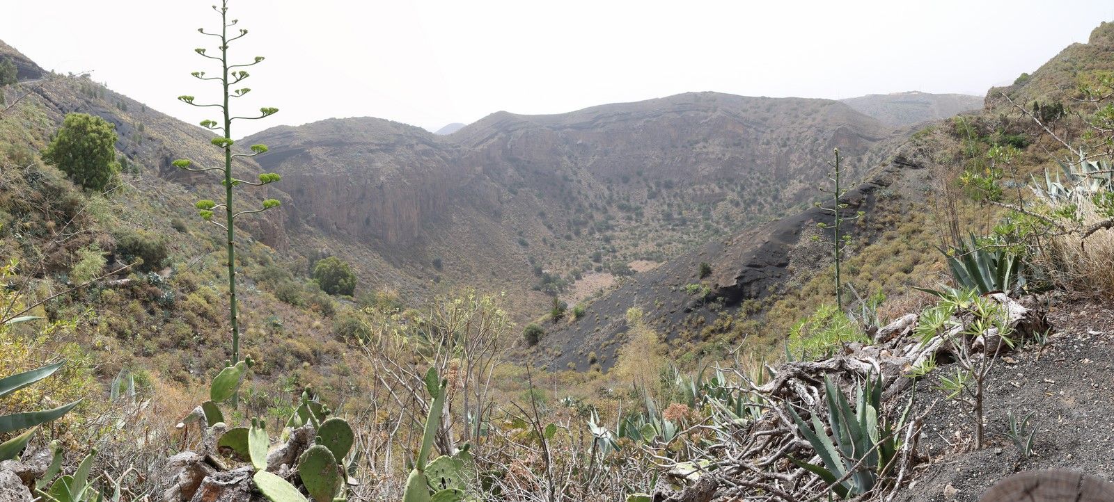 GCanaria_stitch 024 (Report).jpg