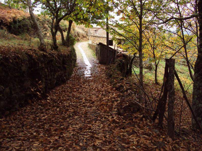 Gondramaz XIII