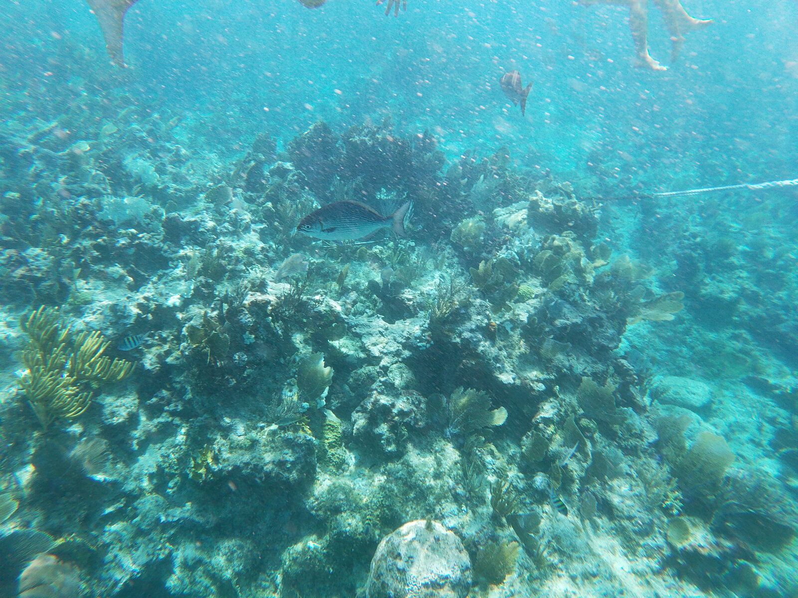 GOPR0271.JPG